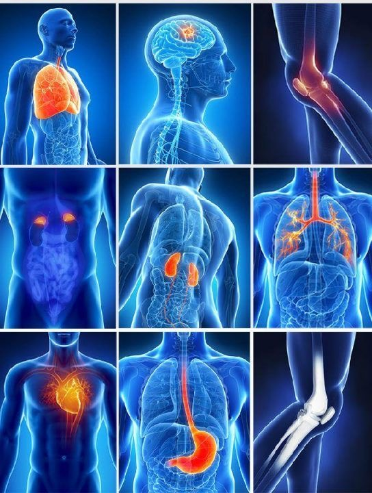 Body Analysers