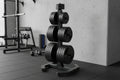 Escape Fitness Weight Tree
