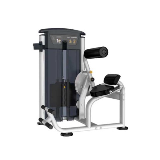 GymGear Perform Series, Back Extension