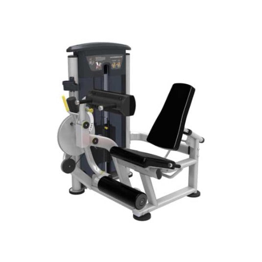 GymGear Perform Series, Leg Extension / Leg Curl
