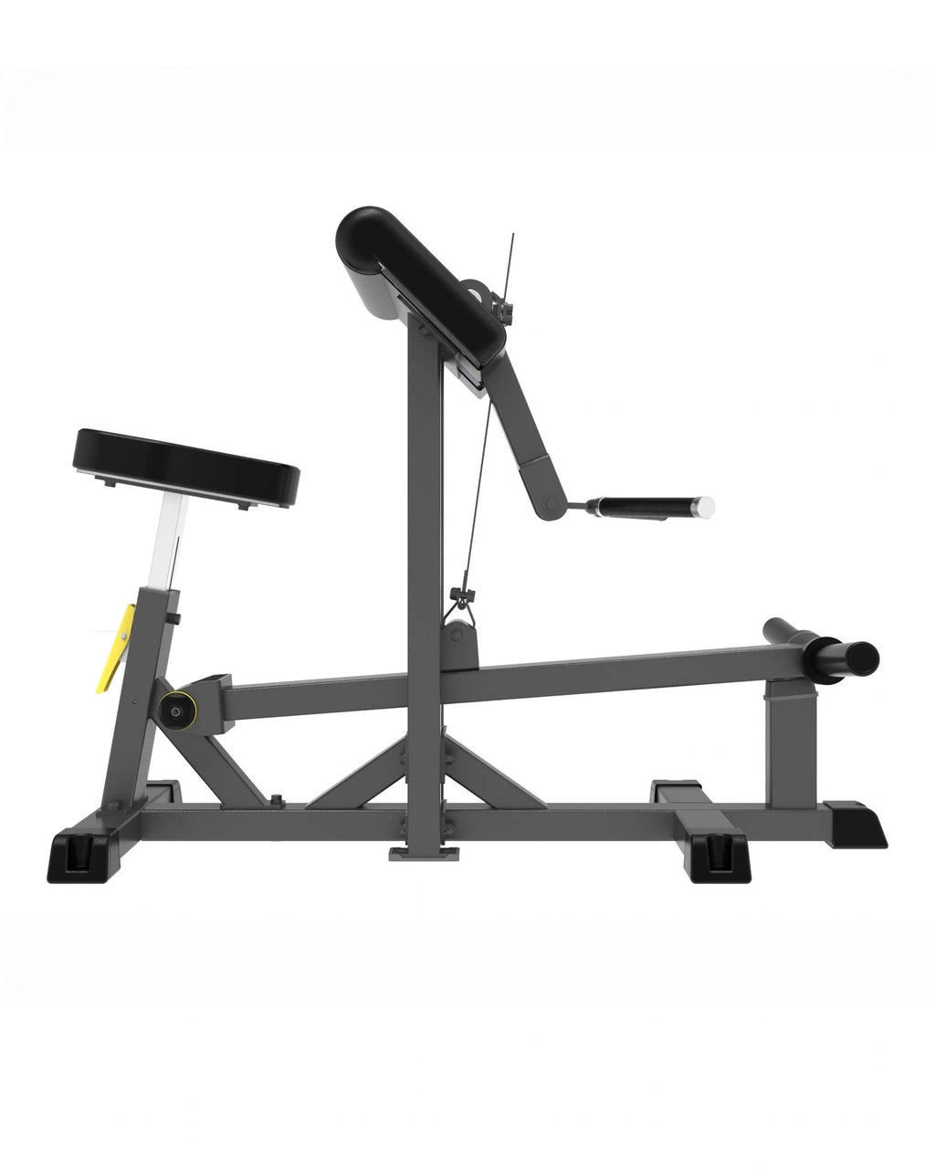 GymGear Pro Series Plate Loaded, Bicep Curl