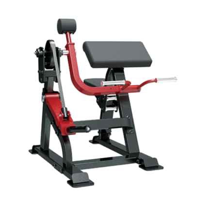 Sterling Series, Bicep Curl